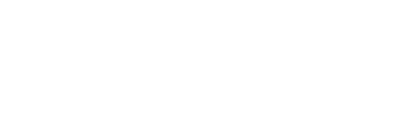 BERHAM Customs Logo
